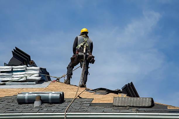 Professional Metal Roofing technician working in Basco, IL